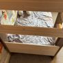 Bunkbed Image 10