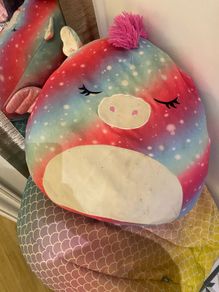 Squishmallow and bean bag