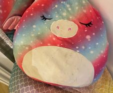 Squishmallow and bean bag