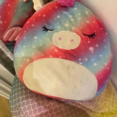 Squishmallow and bean bag