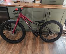 trek roscoe 24