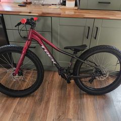 trek roscoe 24