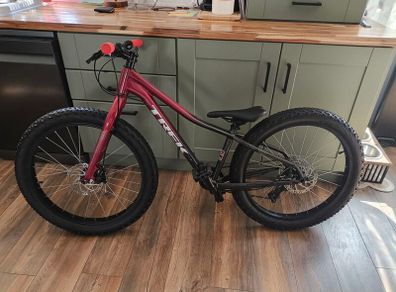 trek roscoe 24