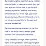 Climbing frame & slide for gross motor & sensory development Image 7