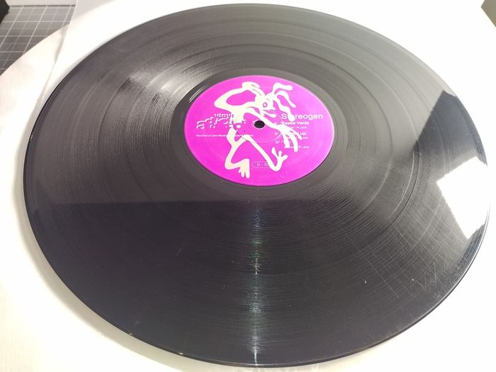 Stereogen - HI-Q + Castle Vania & Burning UP! - Vinyl Addiction Records - MULTIPLE Top QUALITY Early 90s HOUSE Bangers on ONE Vinyl!