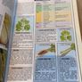 The New Vegetable and Herb Expert Image 8