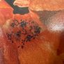 Original Elizabeth A. McEwen Botanical Watercolour - Poppies Image 3