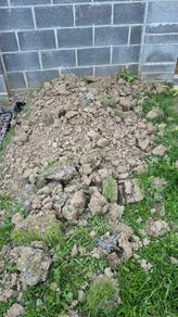 Free Garden Soil
