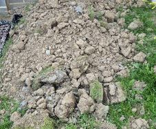 Free Top Soil