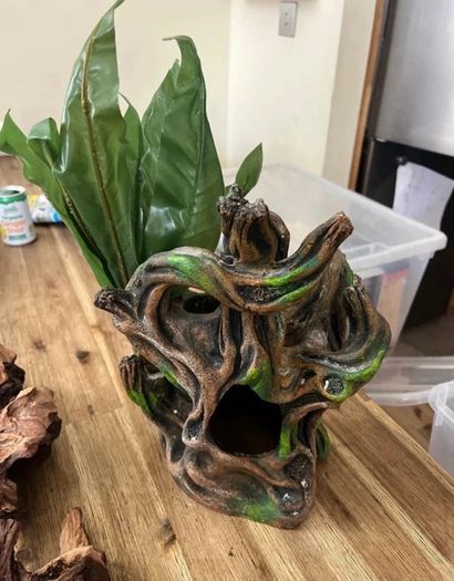 Bunch of terrarium Decoration Equipments