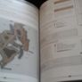 Kingdoms of Amalur RECKONING Guide Image 6