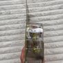 Teenage Mutant Ninja Turtles Tongue Poppin Mikey Action Figure Please see photos Image 8