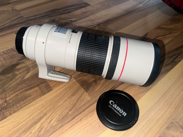 Canon Ef 300 F4 L Is Usm