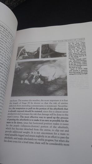 The Complete Book of Foaling : An Illustrated Guide for the Foaling Attendant