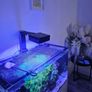 aqua one aquarium Image 3
