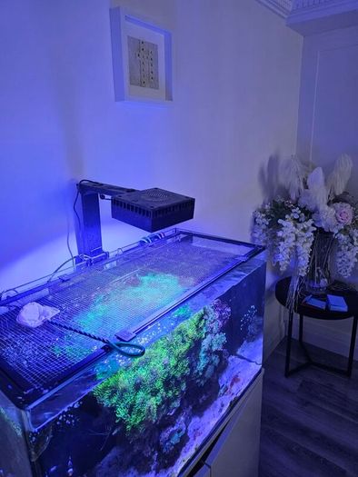 aqua one aquarium