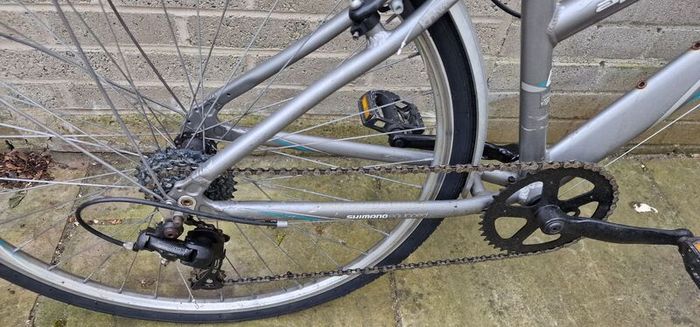 adult Bike