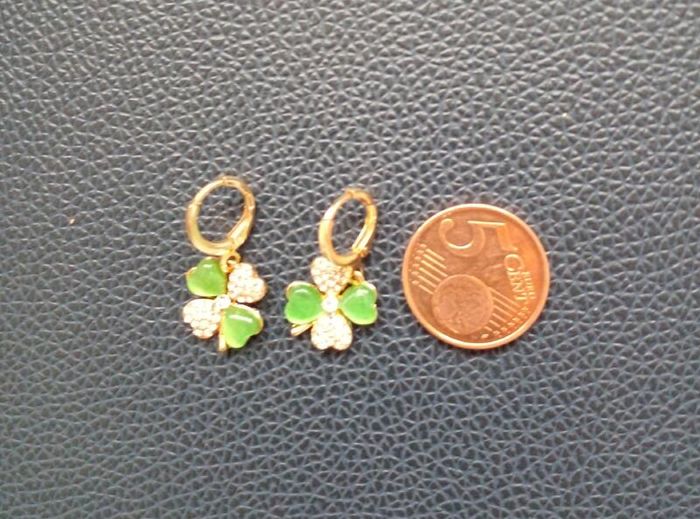 Earrings New