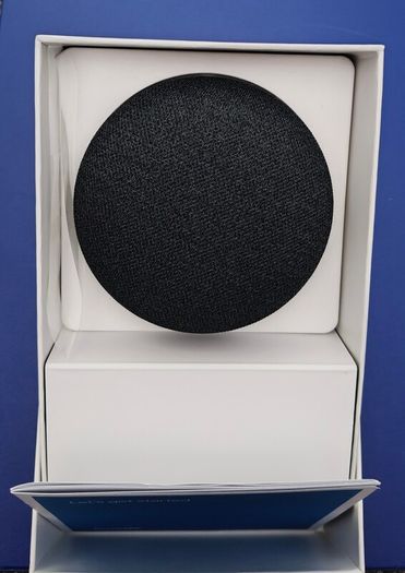 Google Nest Mini