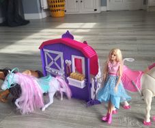 sparkle girls deluxe horse stable set