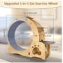 Cat Wheel (large) Image 2
