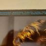 Nick Heyward - North of a Miracle - vinyl LP (Haircut 100) Image 2