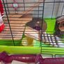 Hamster Cage and Accessories Bundle Image 6