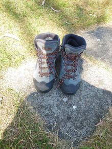 Scarpa GTX Mens size 9