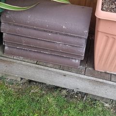 5 Brown roof capins