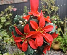 5 x Vintage Christmas Ponsettia Decorations