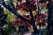 Killarney red watercolour