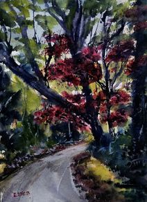 Killarney red watercolour