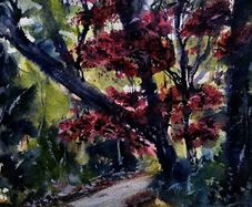 Killarney red watercolour