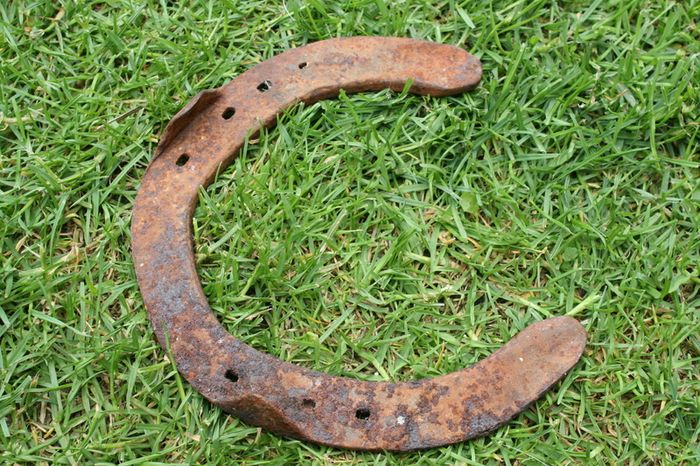 Vintage Horse Shoe