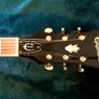 Epiphone Riveria Image 5