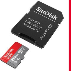 256 GB microSD Card