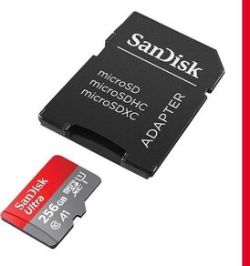 256 GB microSD Card