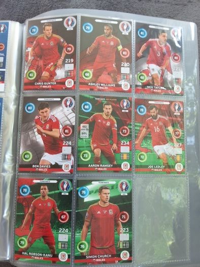 Euro 2016 france cards