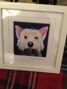 picture dog by eoin o Connor