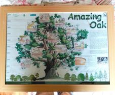 History of Oak Tree Picture