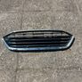 Ford Focus  Chrome Grid Image 4