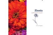 Holland Mill Zinnia Elegans Seeds - Giants of California Mixed 1g