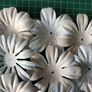 Paper Flowers x 18 - Oyster Blush Image 3