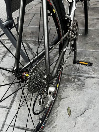 ridley triton