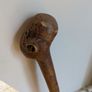 Walking stick Image 3
