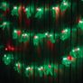 Christmas Holly LED Indoor/ Outdoor Lights Image 2