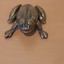 Antique solid brass frog, ashtray or earring holder Image 5