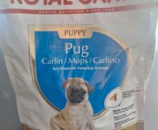 puppy food