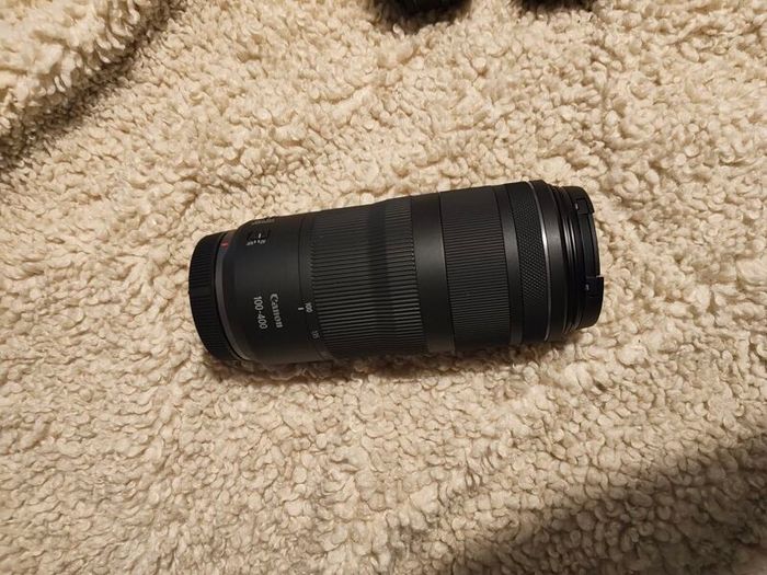 Canon EF 100-400mm f/4.5-5.6 lens