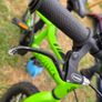 Ridgeback MX16 Image 6